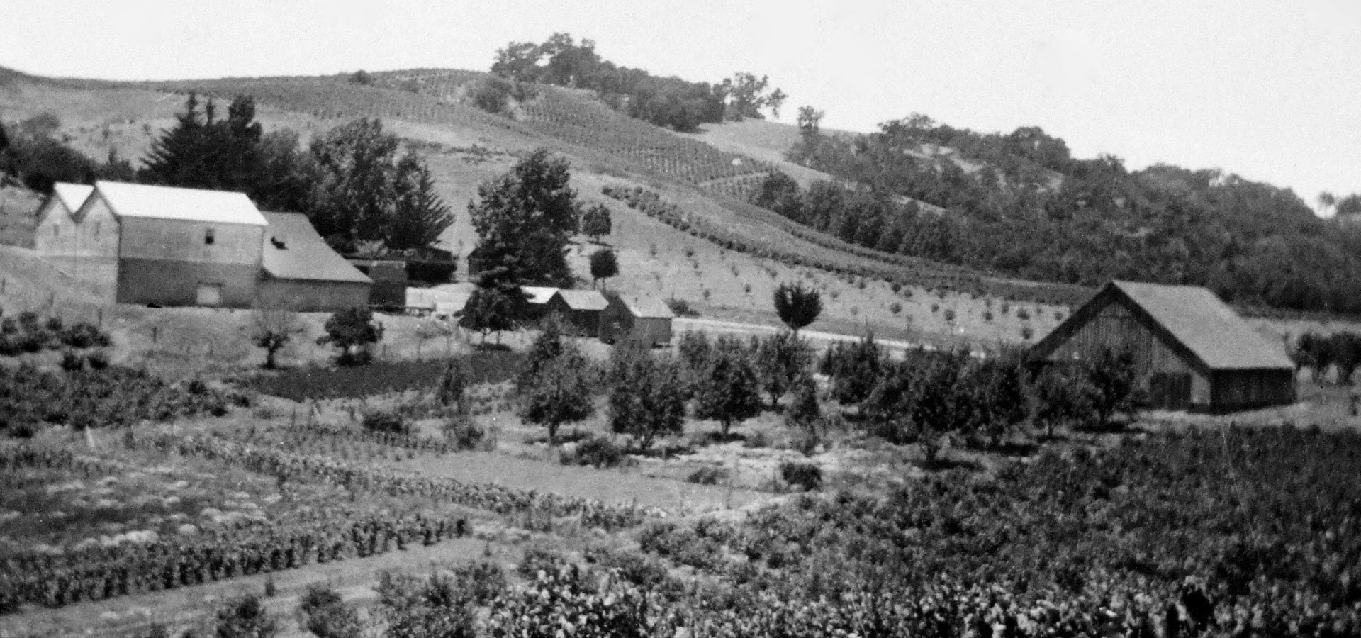 York Mountain 1900